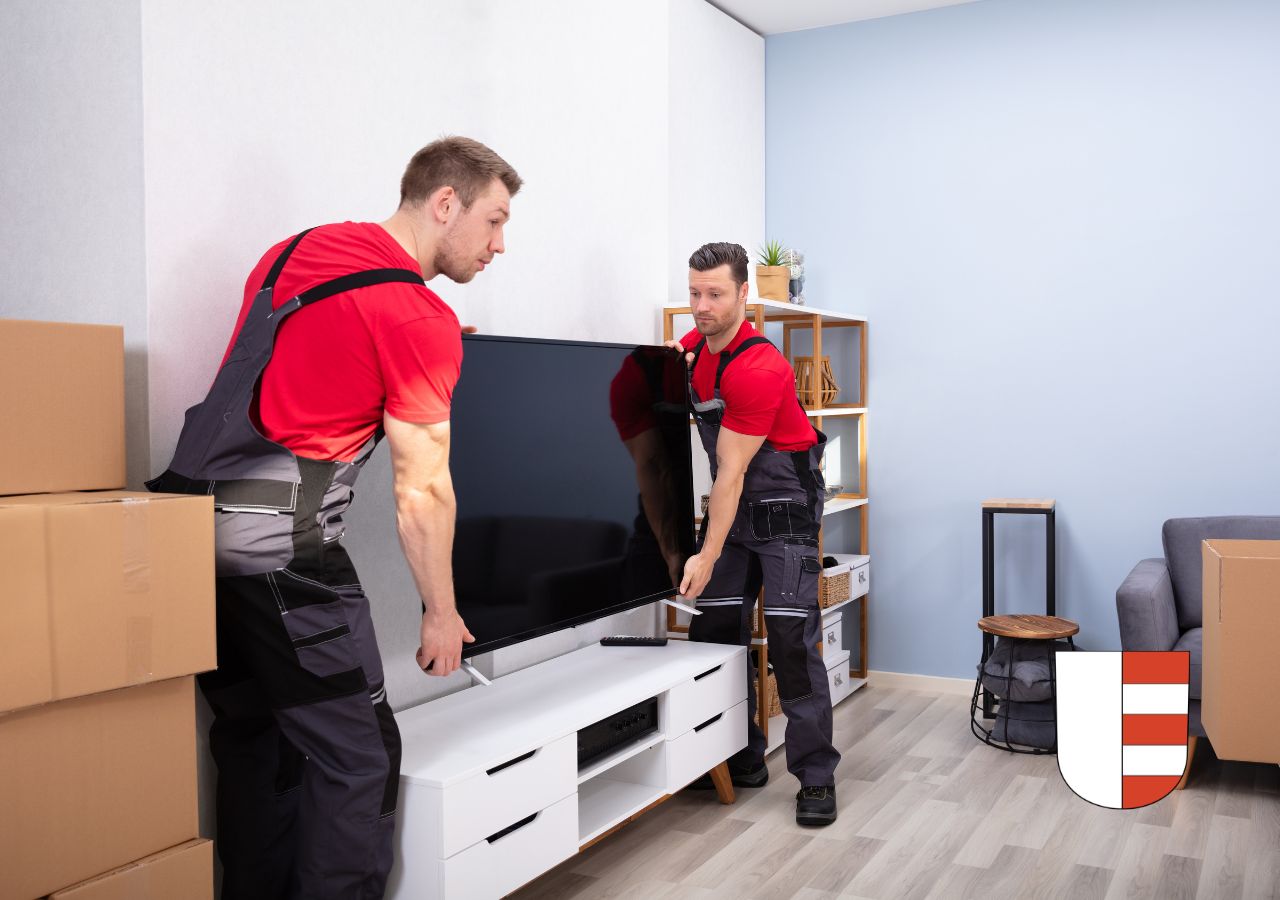 umzugsunternehmen uster